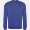 Pro sweatshirt Thumbnail