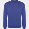 Pro sweatshirt Thumbnail