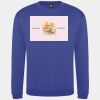 Pro sweatshirt Thumbnail